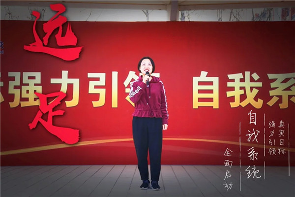 640.webp (9)_副本.jpg